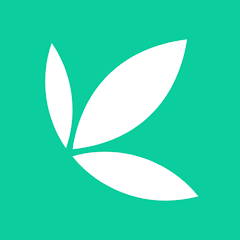 Bamboo Relay's image